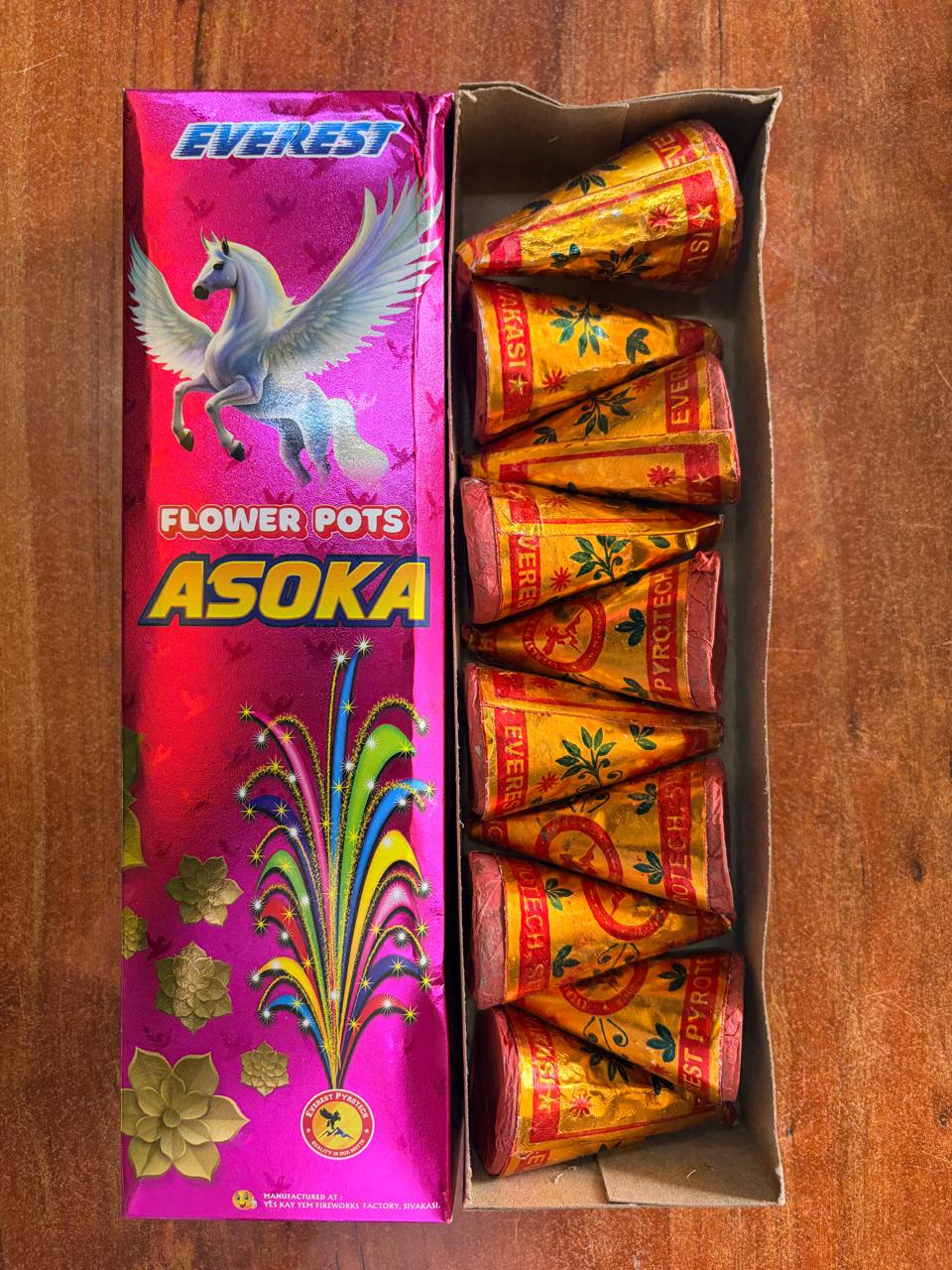 FLOWER POT ASHOKA